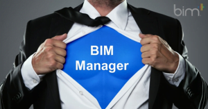 BIM manager